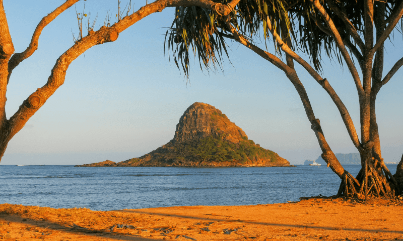 circle tours of oahu