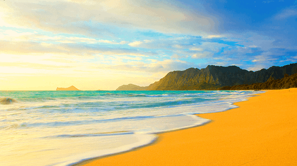 real hawaii tours background real hawaii tours background