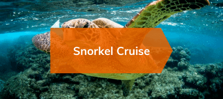 Oahu Air Tours Oahu-Air-Tours