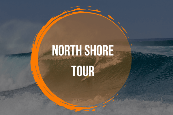 Image from North Shore tour Image from North Shore tour