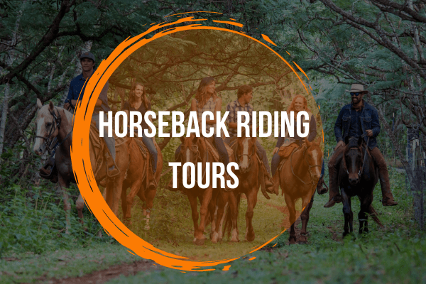 horse-back-riding-tours-oahu