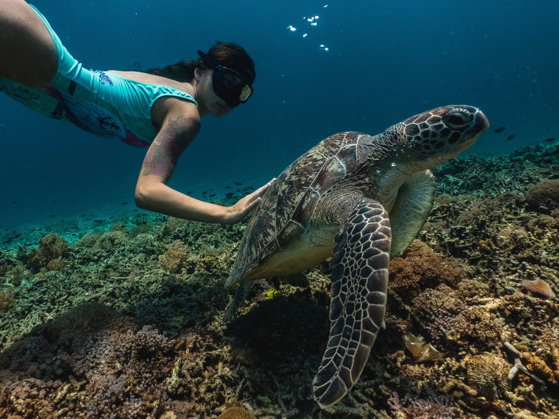 Girl snorkeling on Oahu with a turtle