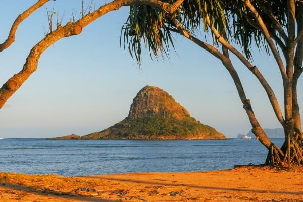 circle-island-tours-oahu-hawaii