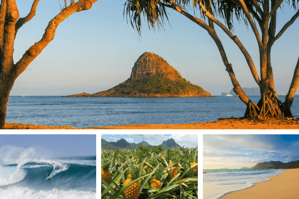 circle-island-tour-oahu oahu-circle-island-tours