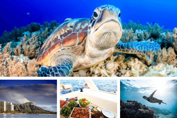 Untitled design - 2021-08-01T221446.023 snorkel-tours-oahu