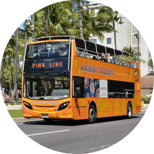 big bus tours hawaii