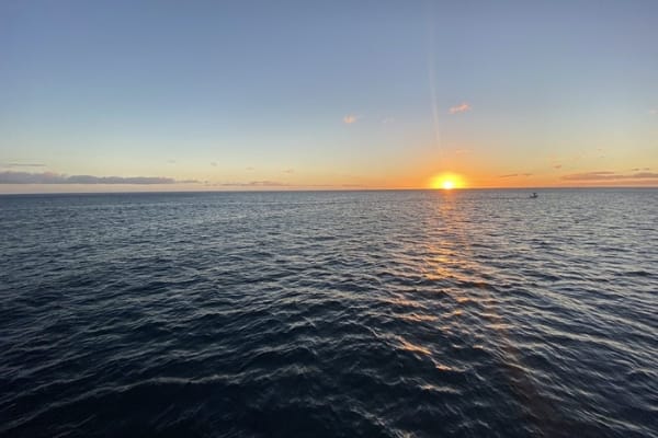 best sunset dinner cruise in oahu