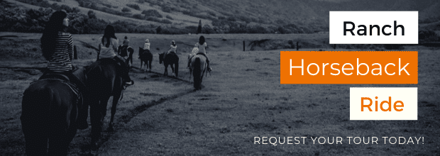 Kualoa Horseback Request