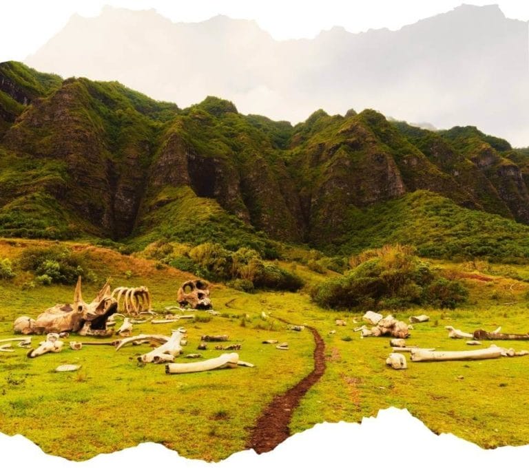 Kualoa Ranch Oahu Discover The Best Kualoa Ranch Tours and Activities