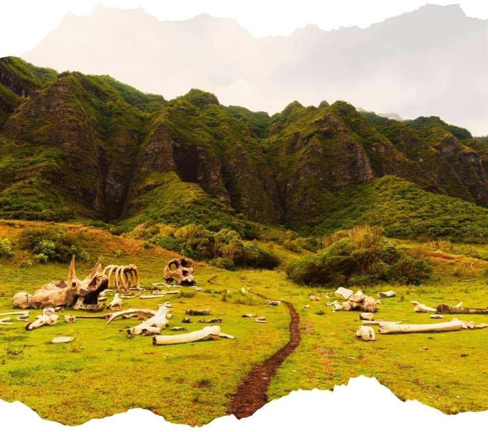 Kualoa-Ranch-Movie-Tour
