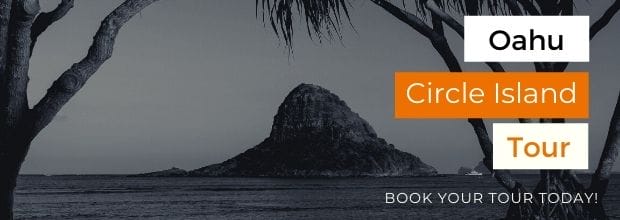 Circle-Island-Tour-Request
