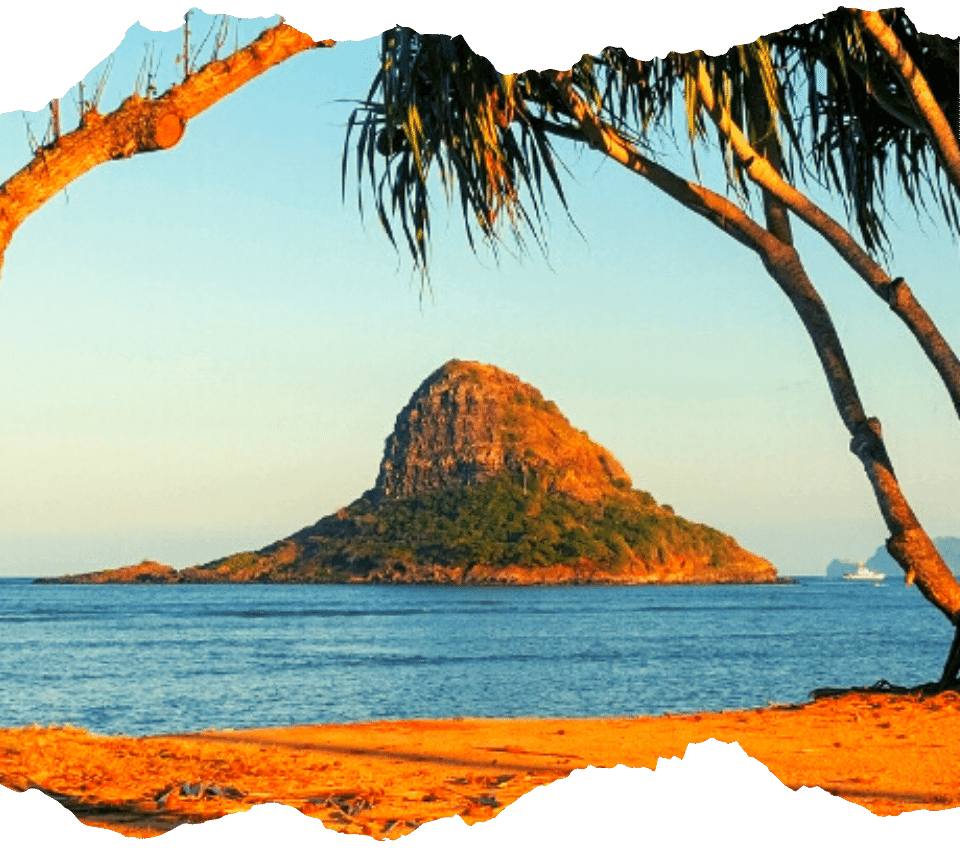 dole-oahu-tours
