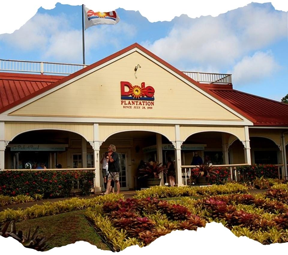 visit dole plantation oahu