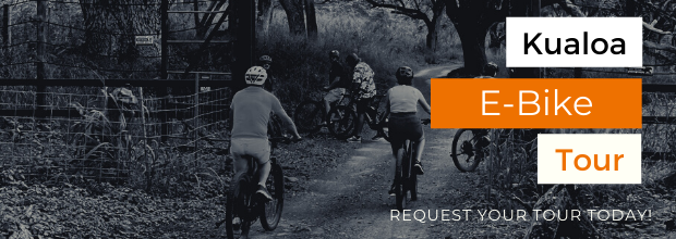 Kualoa-Ranch-Bike-Tours
