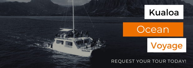 Kualoa-Ocean-Voyage-Adventure-Tour