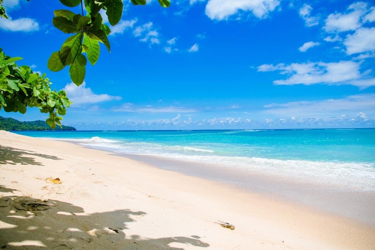 Best-Circle-Island-Tour-Oahu