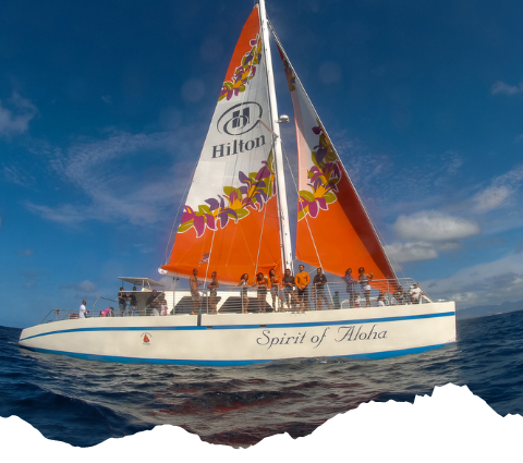 best snorkeling in oahu Oahu-Snorkeling-Tours