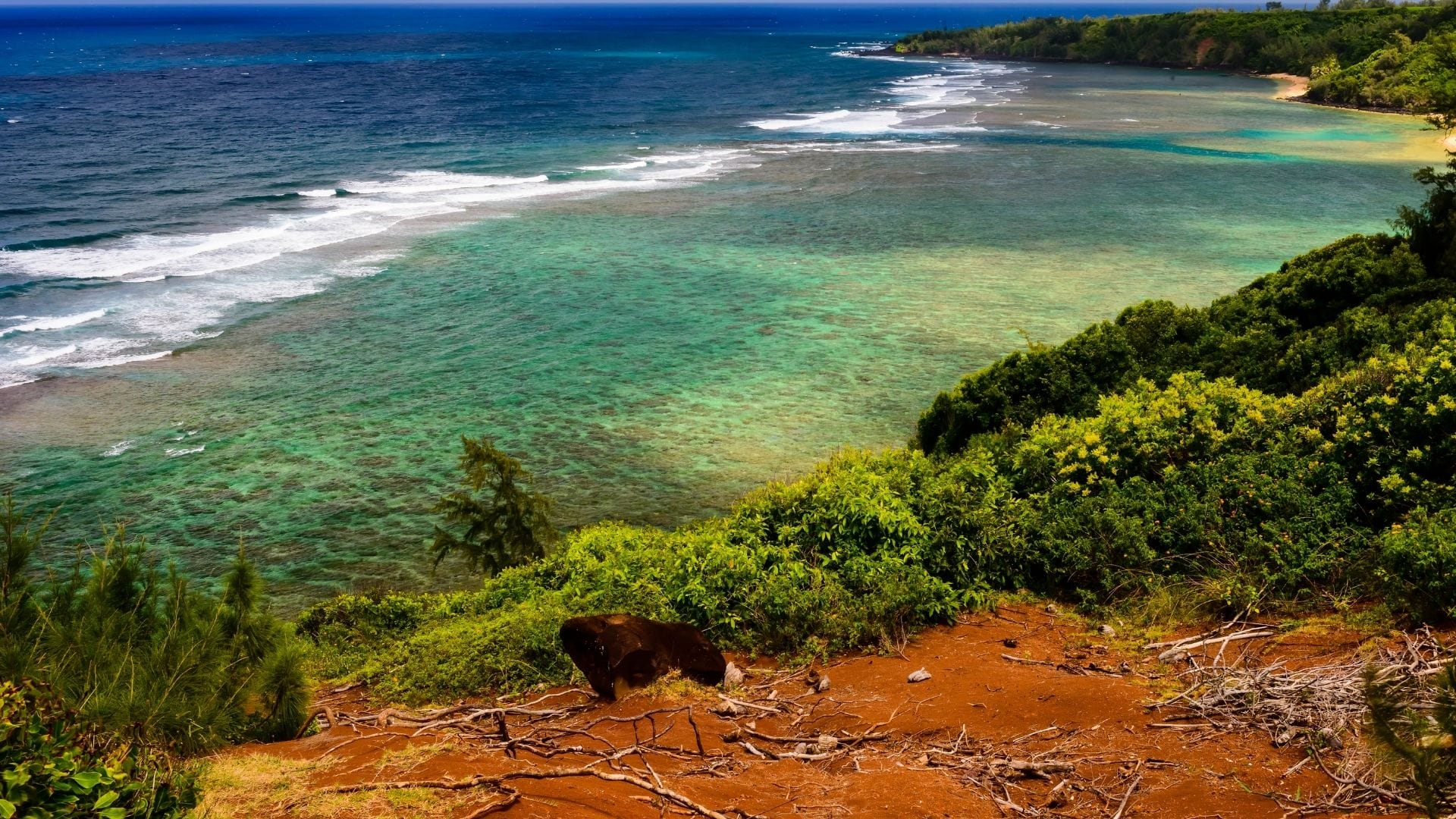 JurassicPark in Hawaii