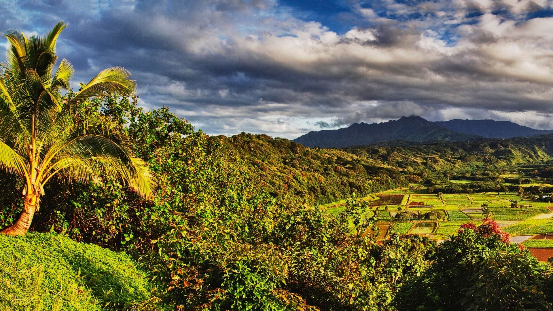 Oahu-Hawaii-Jurassic-Park