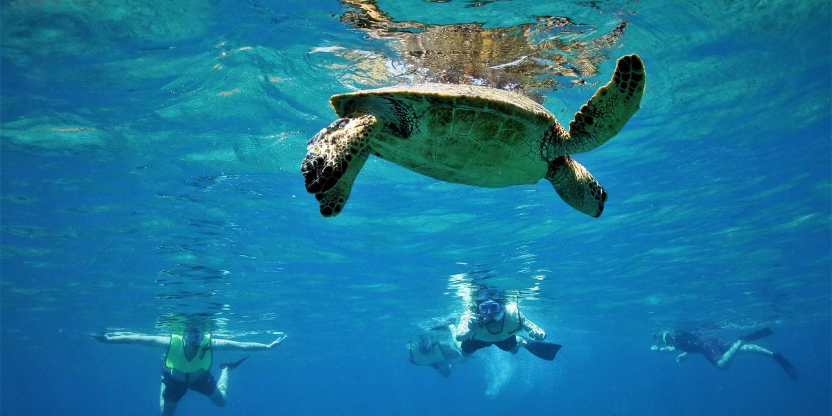 Best-Snorkeling-Tours-Maui
