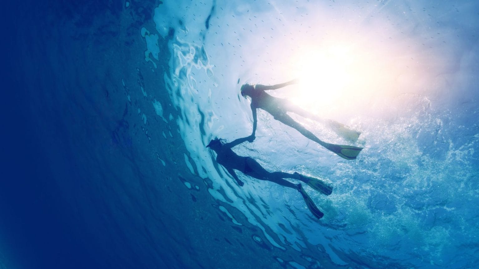 Snorkeling in Maui Best Snorkeling Tours in Maui Snorkel Maui