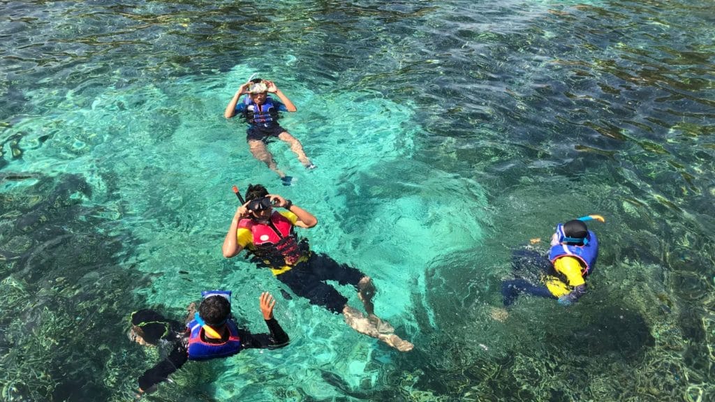 Snorkeling in Maui Best Snorkeling Tours in Maui Snorkel Maui