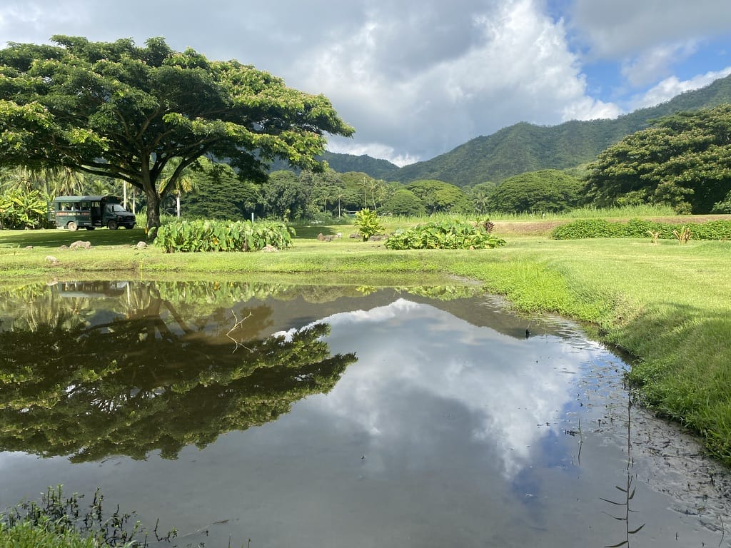 kualoa-ranch-taro-patch-tour a beautiful panoramic photo of the kualoa mountain range in kaneohe