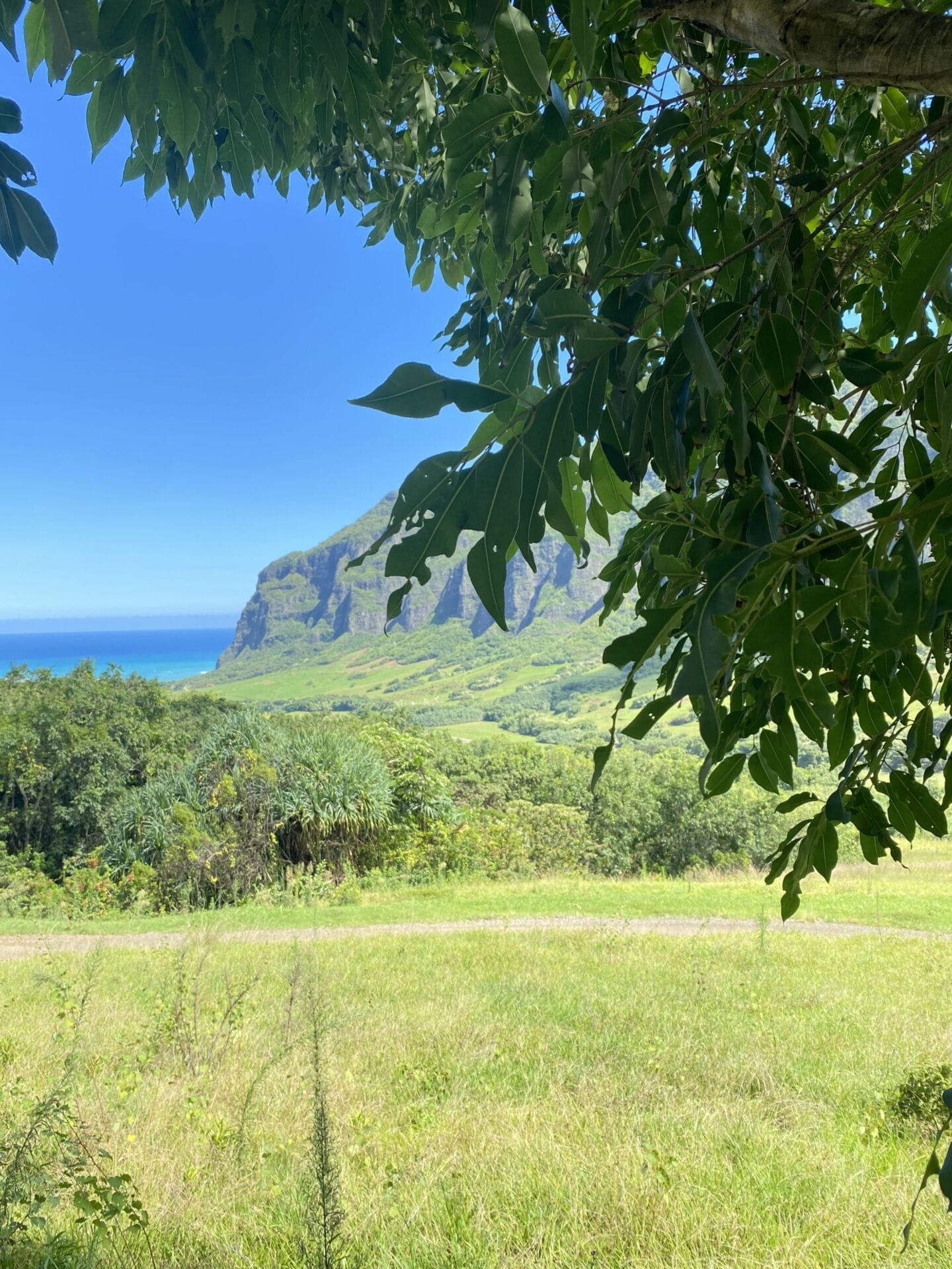 a gorgeous view of the ocean and opposite mountain from the kualoa jurassic valley