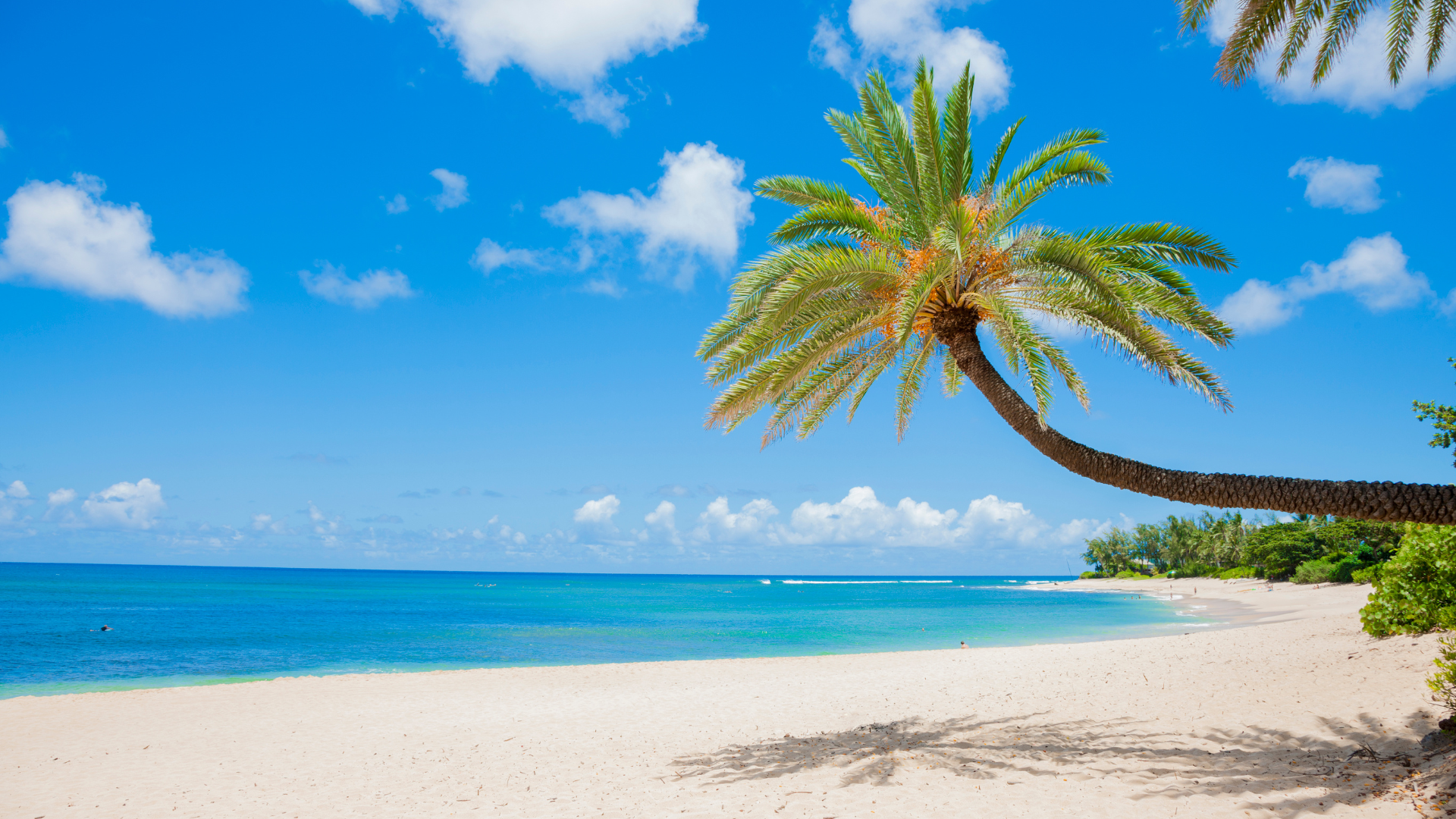 Hawaii in November