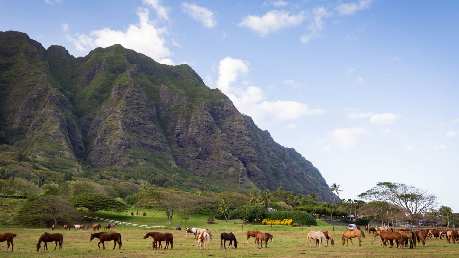 How Far is Kualoa Ranch from Waikiki Full Guide Real Hawaii Tours