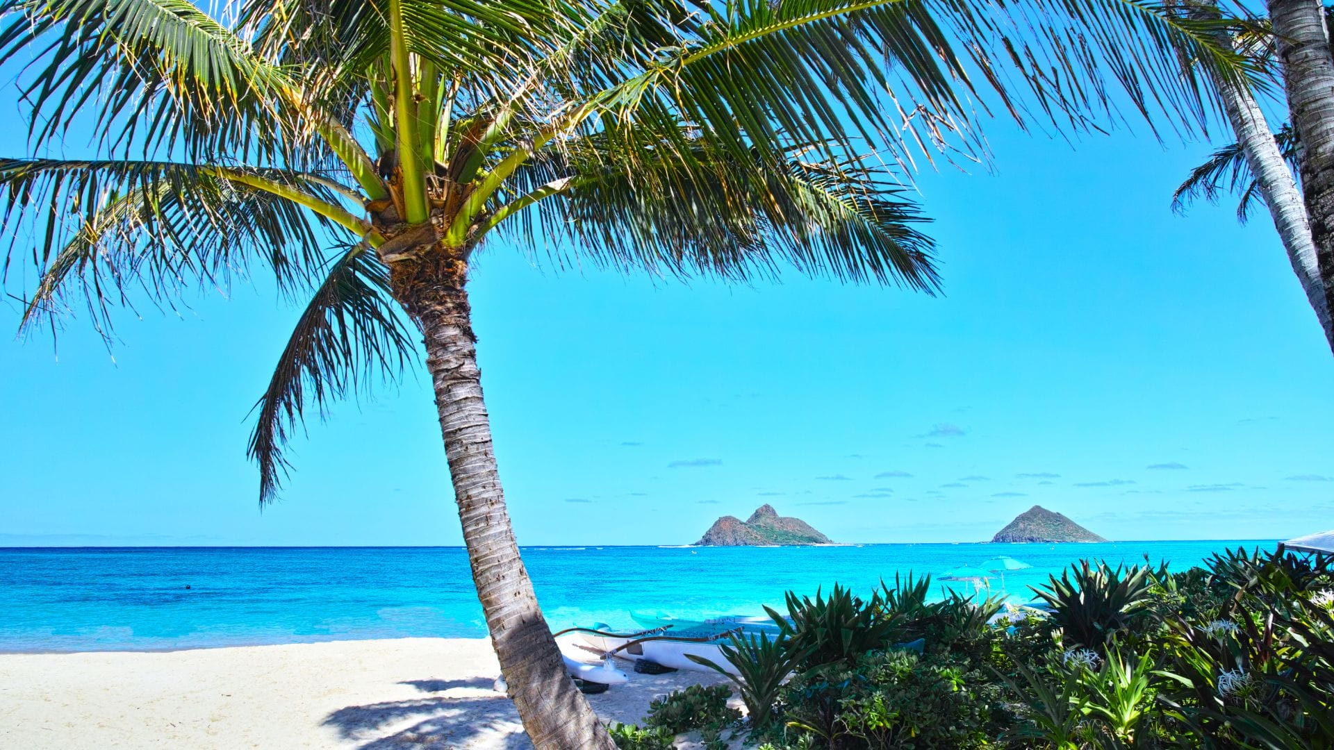 best things to do in oahu for couples best-things-to-do-in-Oahu-for-couples