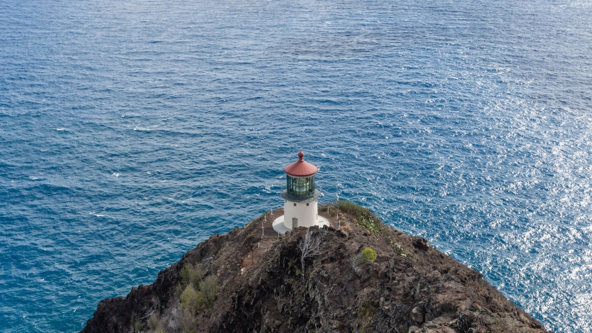 Beating the Heat on Your Makapu'u Lighthouse Trail