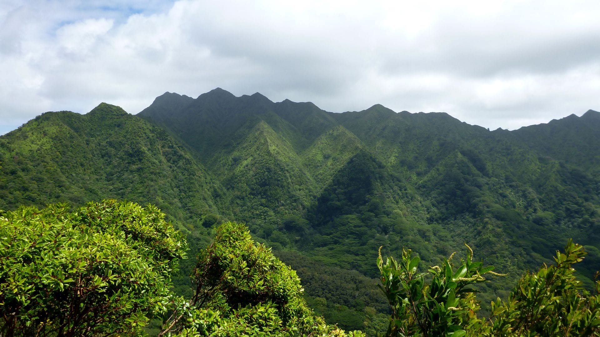Day 5_ Explore the Manoa Valley and Visit Diamond Head O'ahu-Day-5-Explore-Diamond-Head-Oahu