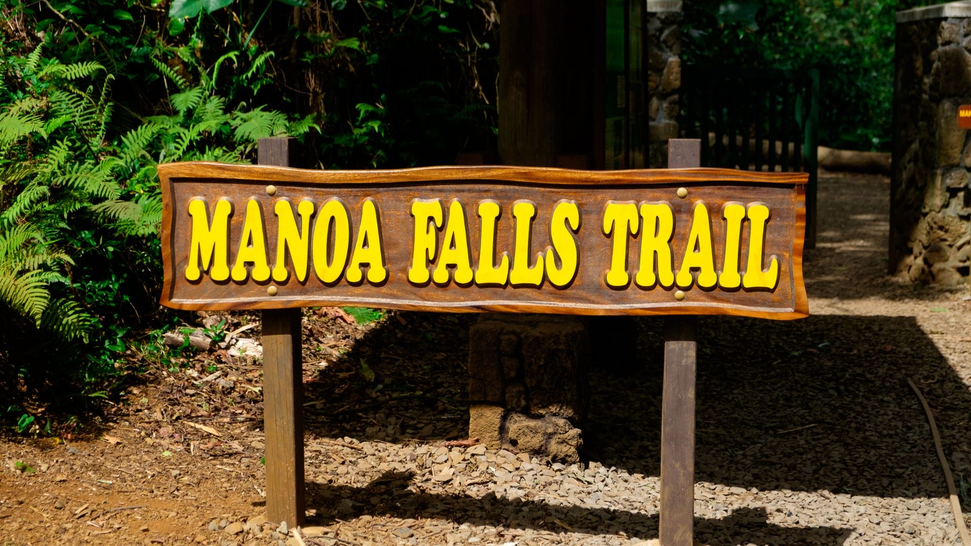 Manoa-Falls-Hiking-Trail