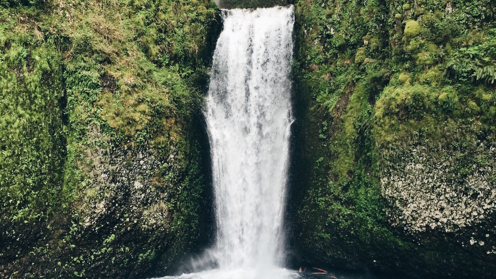 Kaipapau Falls Kaipapau Falls