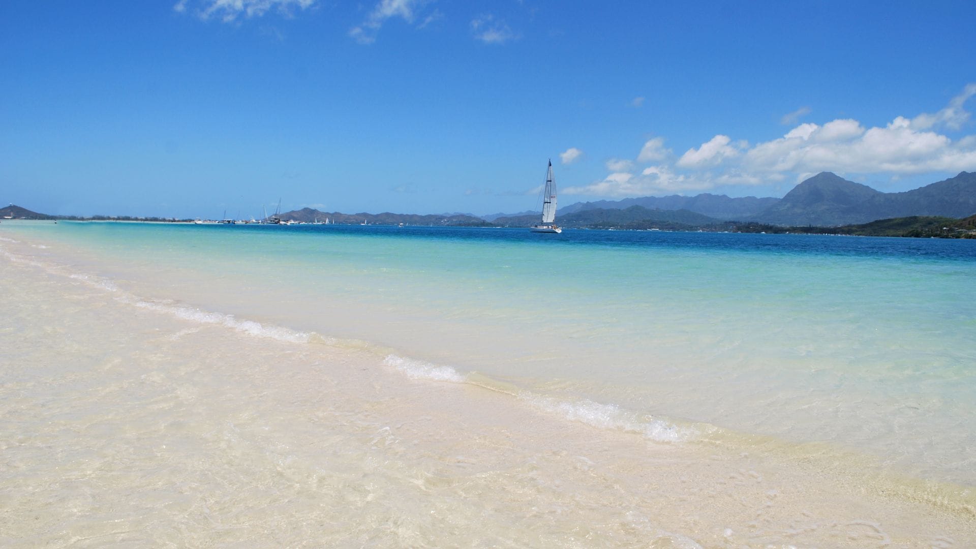 Kaneohe Bay Sandbar Exploration