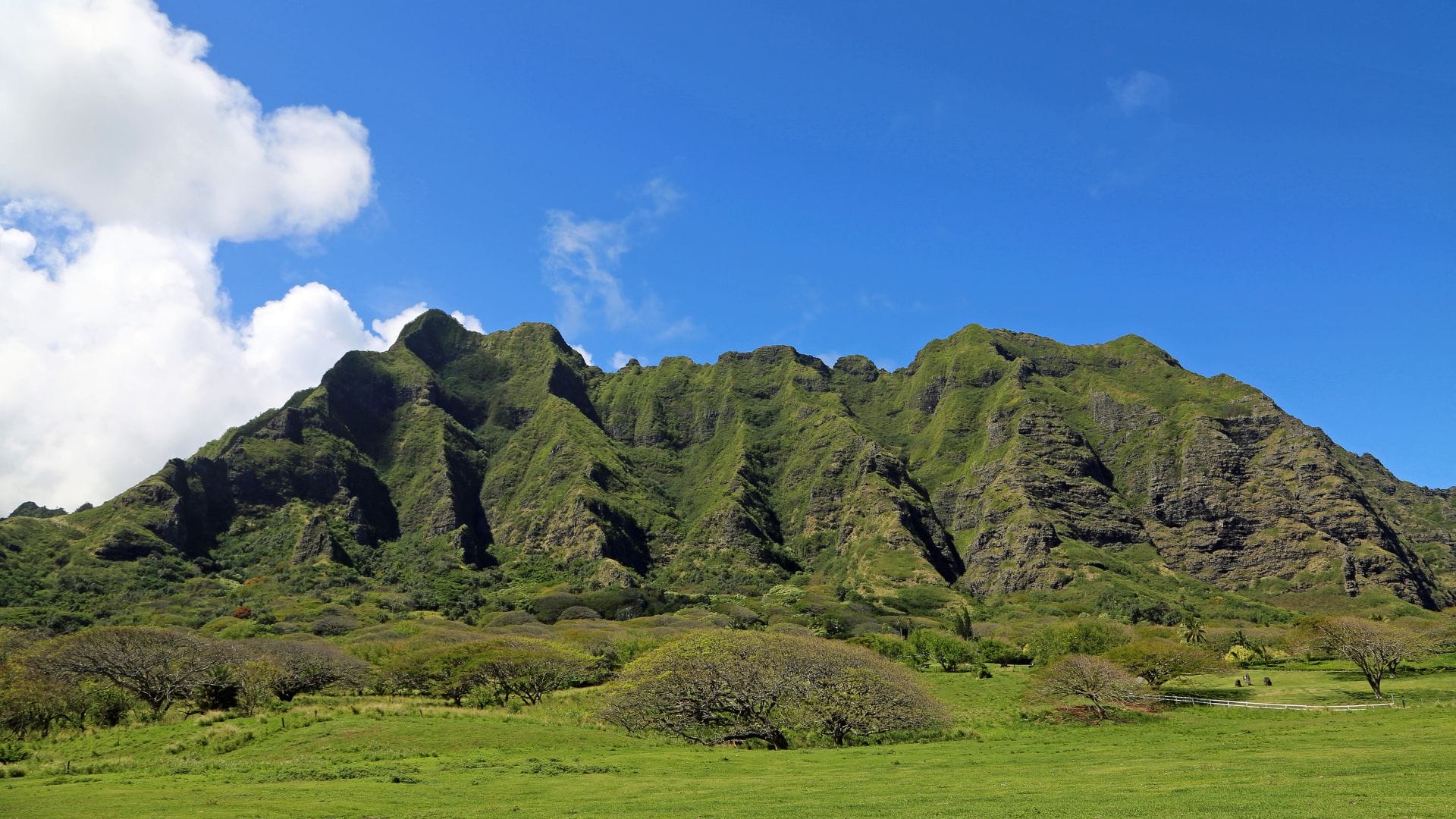 Kualoa Ranch top 10 things to do in Oahu