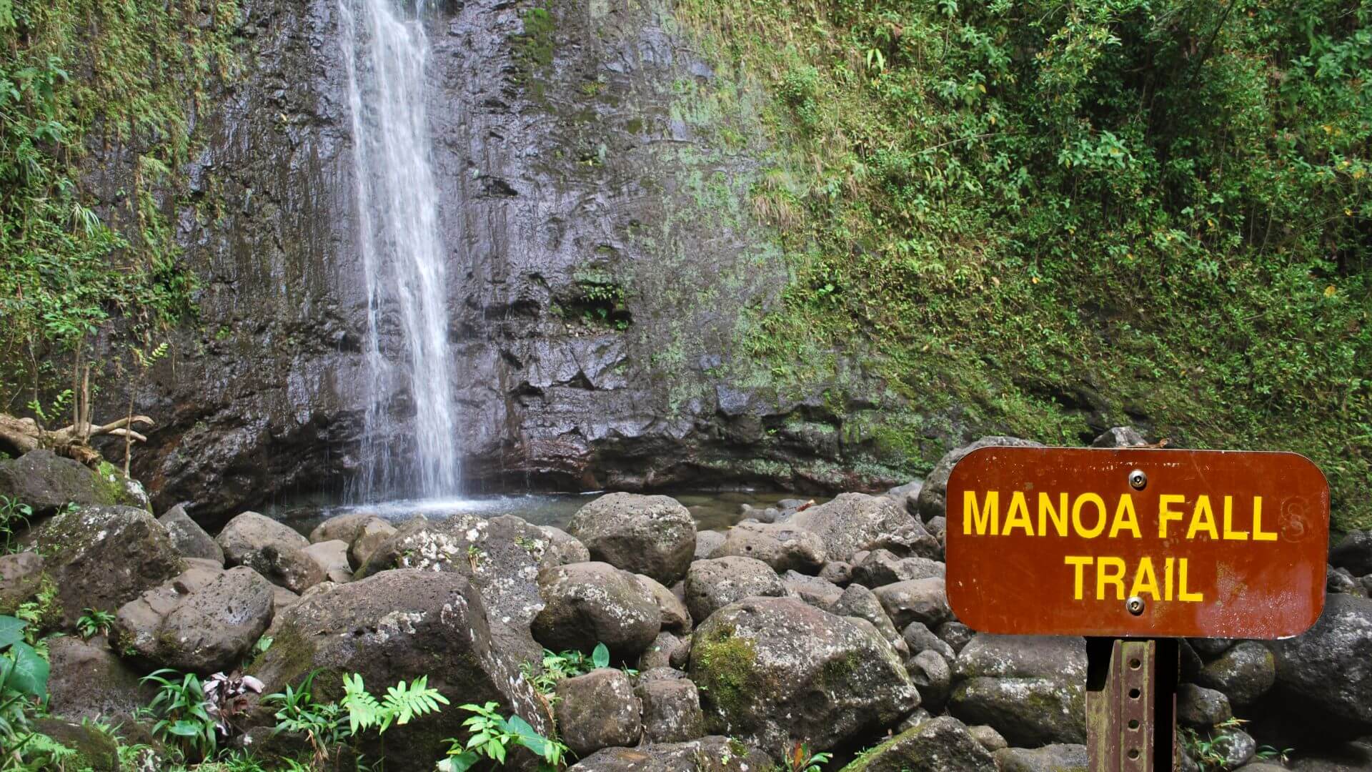 Manoa-Falls-Hike-Oahu
