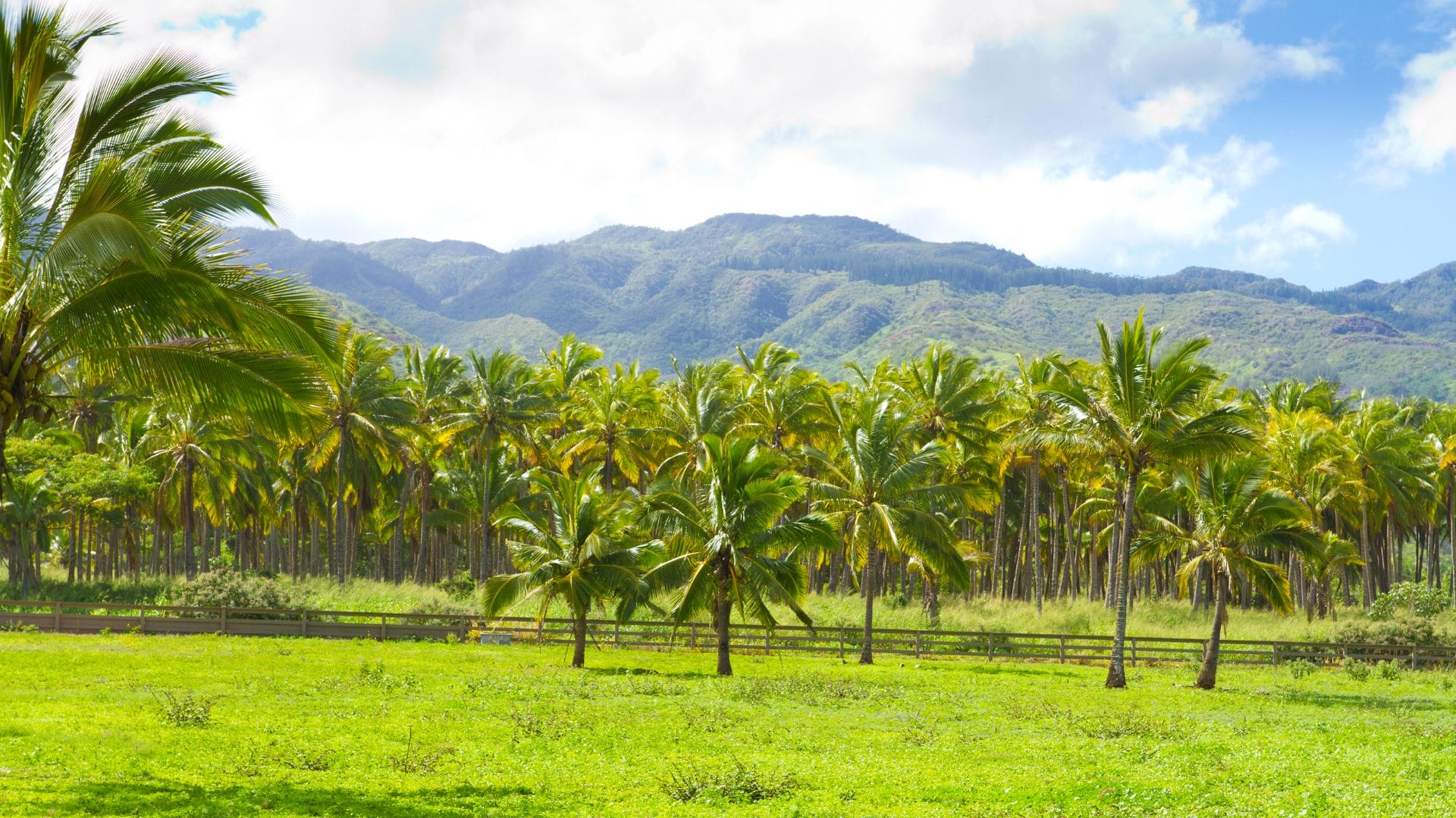 Oahu-Hawaii-Plantation-Village-Tours Oahu-Hawaii-Plantation-Village-Tours