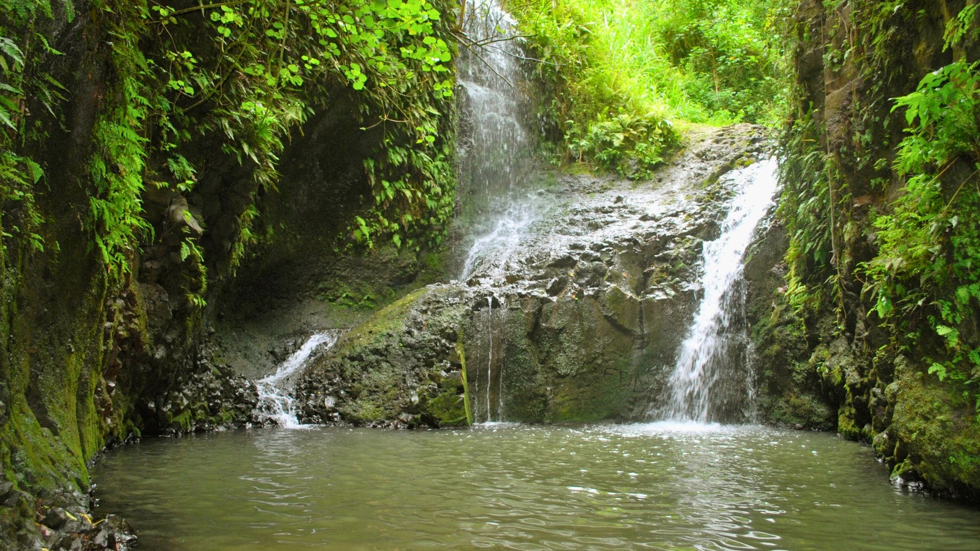 Oahu-waterfalls-you-can-swim-in