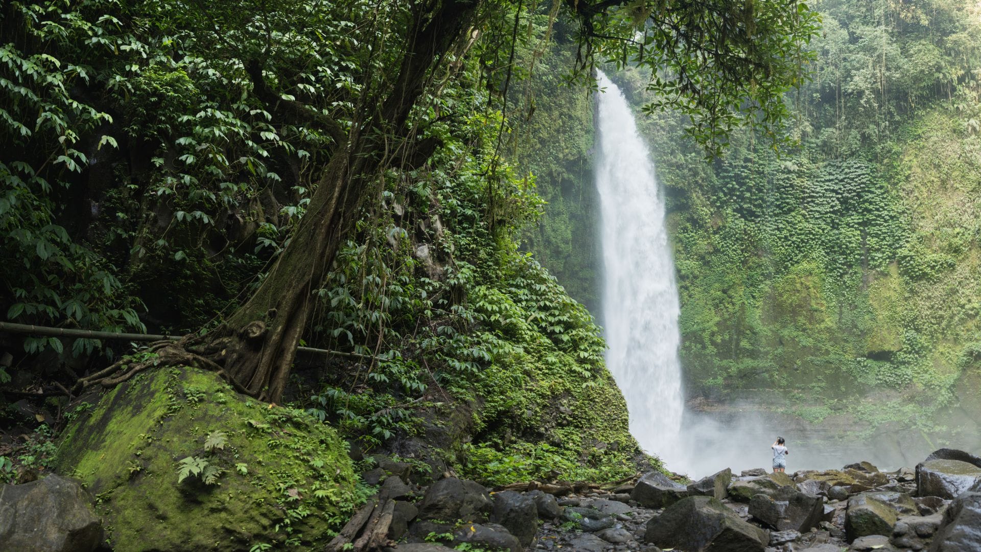 Rainforest-Waterfall-and-Movie-Sites-Hike