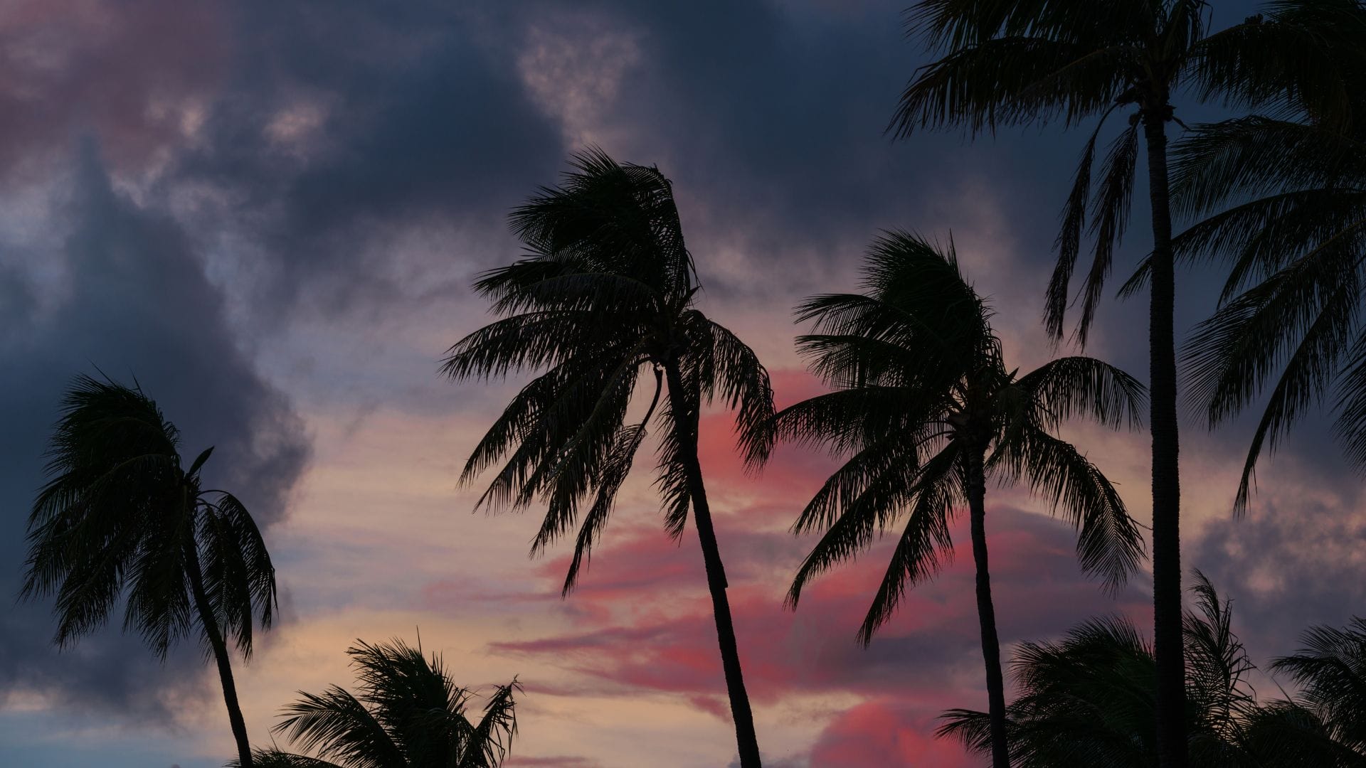 Things to do in Oahu when it rain conclusion Things to do in Oahu when it rain conclusion