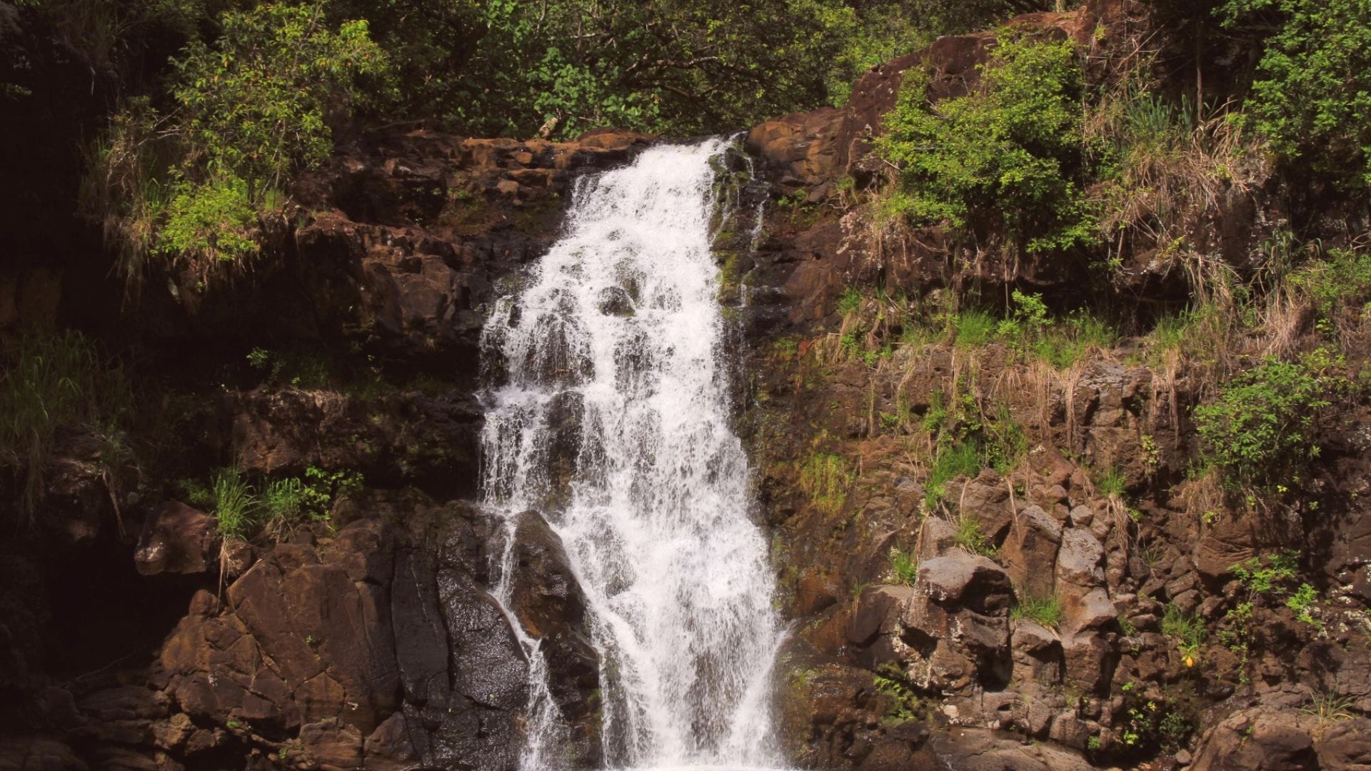 Waimea Falls Waimea-Falls