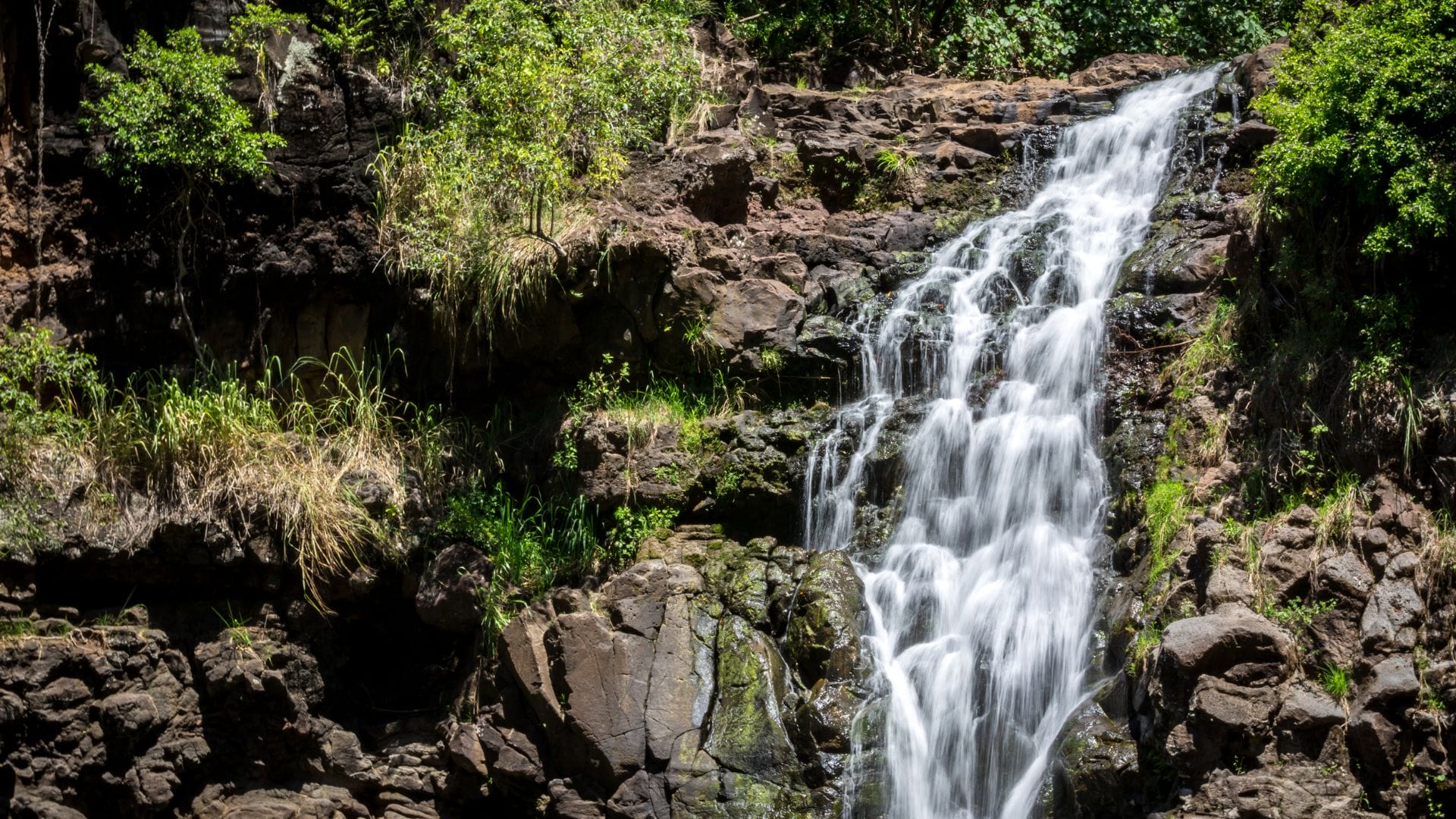 Waimea-Valley-Trail