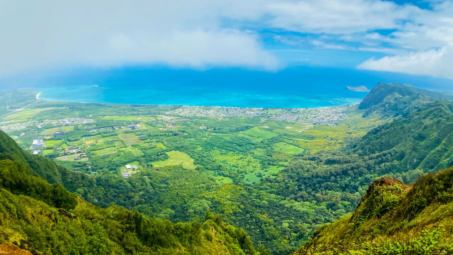 guide to hiking craters in Oahu guide-to-hiking-craters-in-Oahu