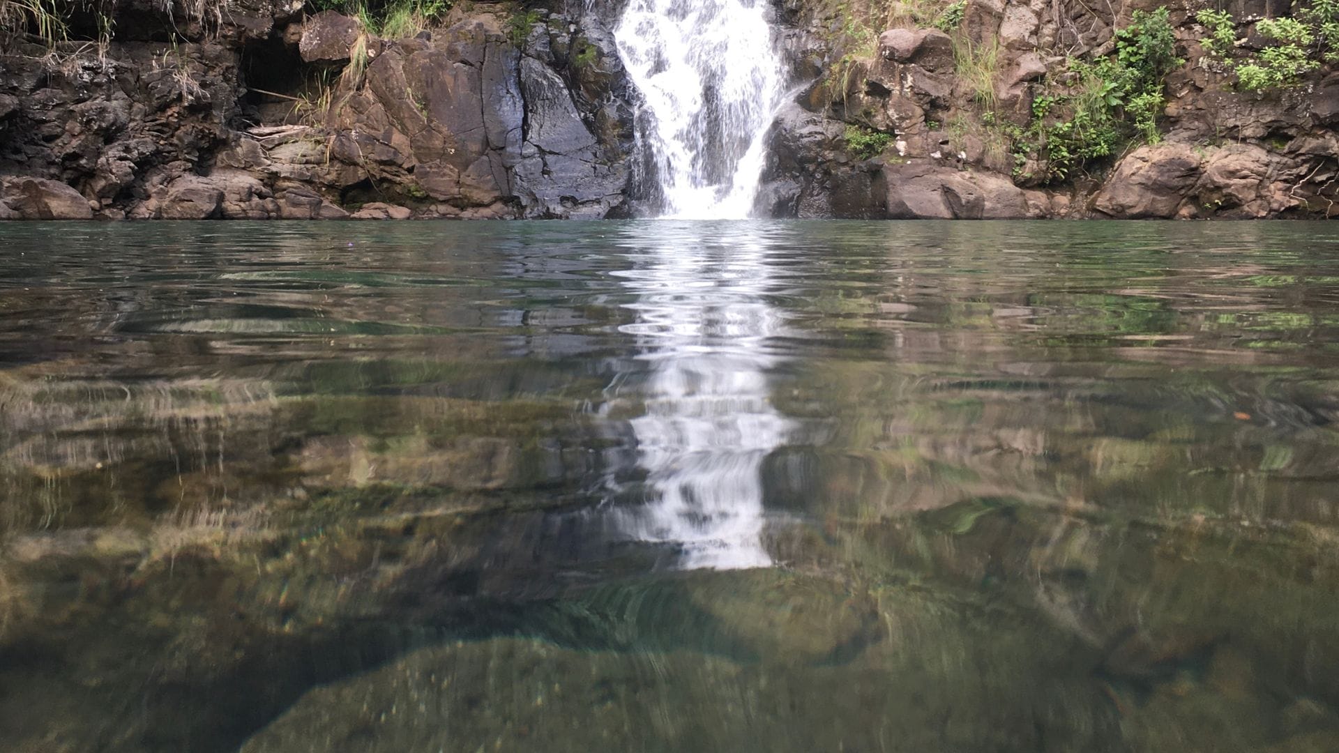 waterfalls-to-swim-in-Oahu