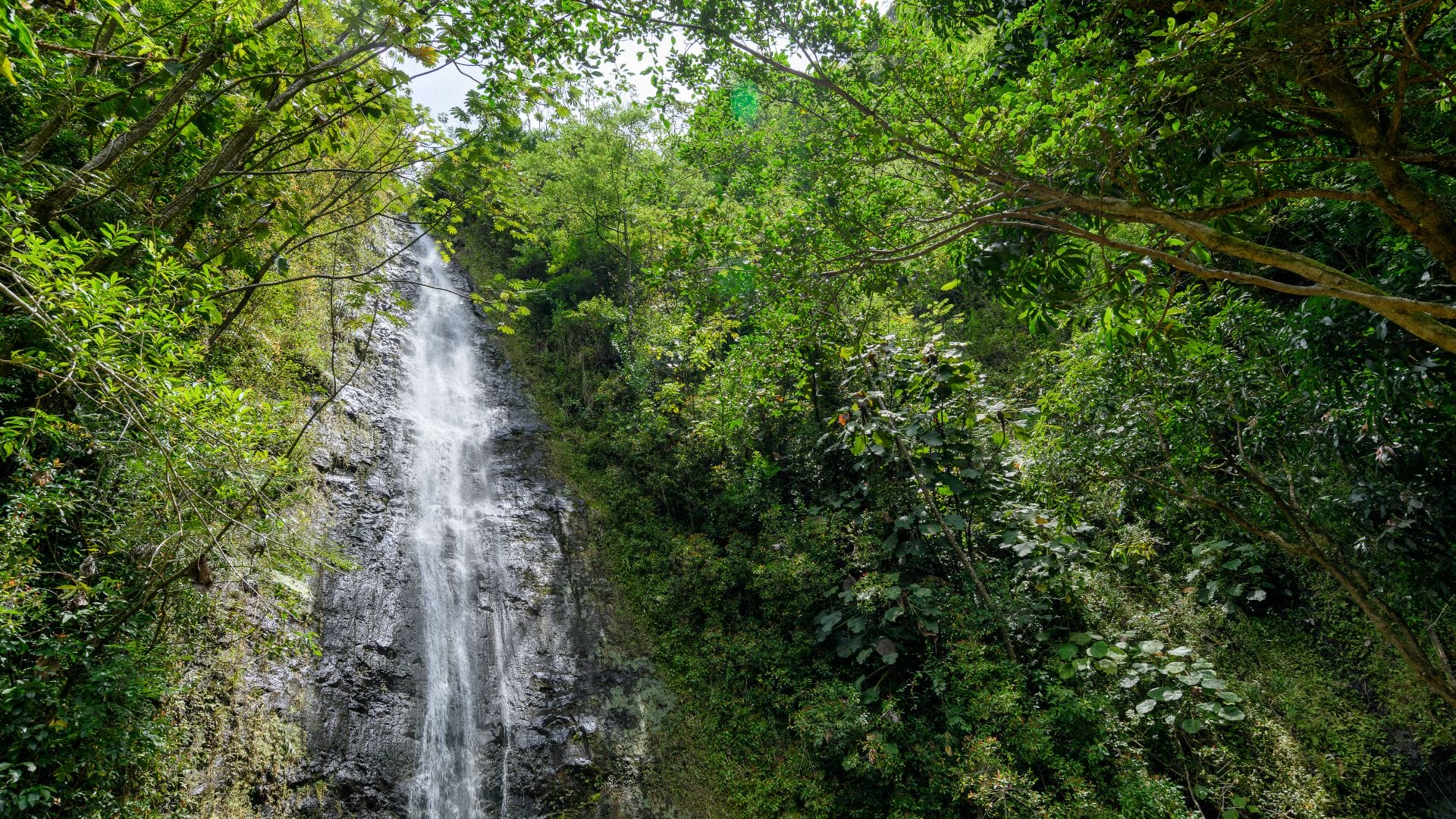 7-Best-Oahu-Waterfall-Hikes