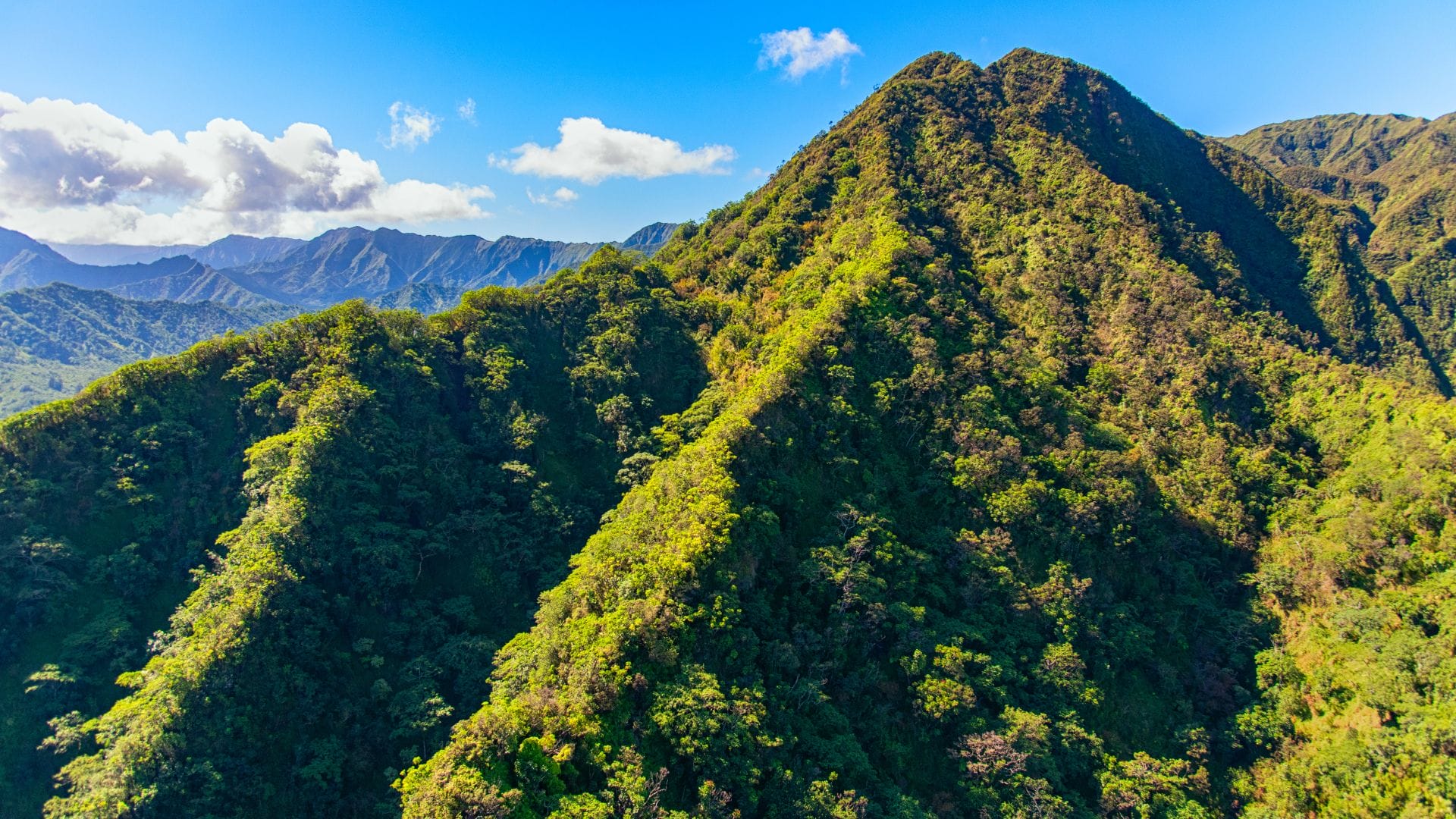 Oahu-Rainforest-Hiking