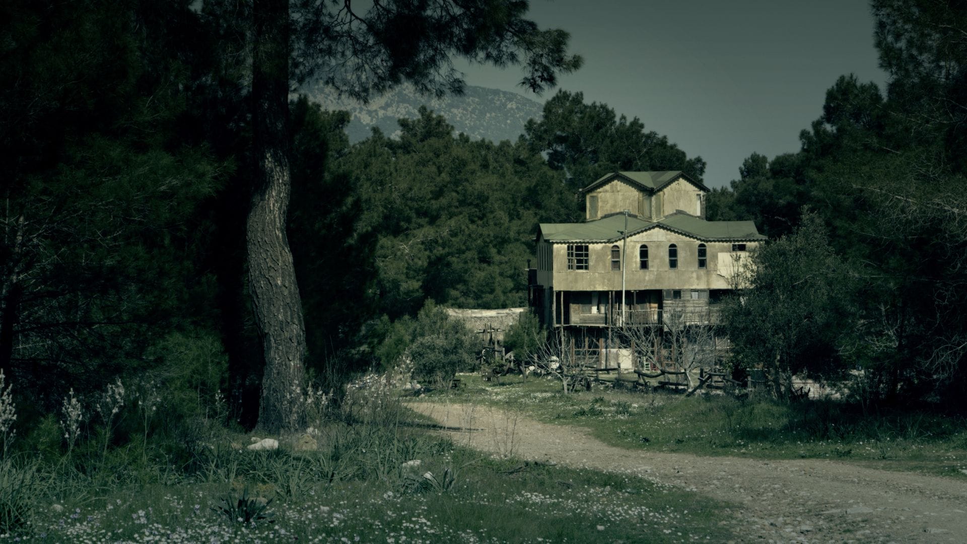 The-Haunted-Plantation