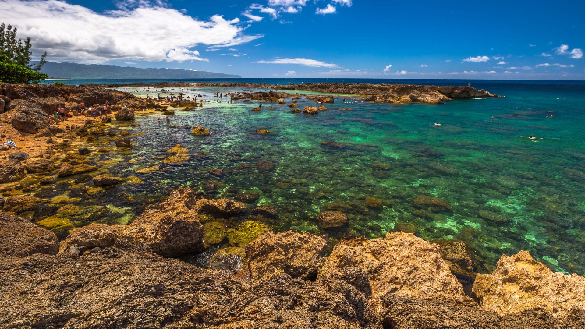 Oahu-Shark-Cove